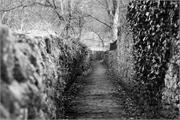 honley ginnel